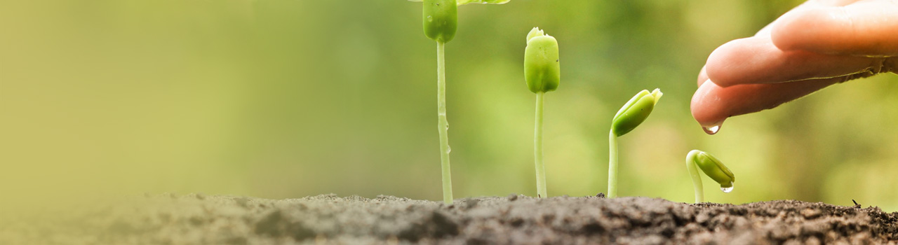 Phosphorus fertilizers