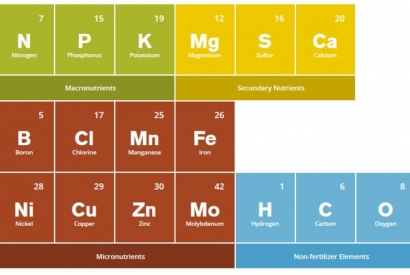 Изхранване на населението - мисията възможна благодарение на основоположниците на съвременната торова индустрия - "Евро Ферт" АД Изхранване на населението - мисията възможна благодарение на основоположниците на съвременната торова индустрия