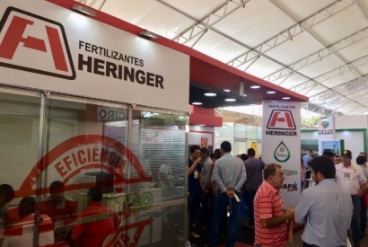 Бразилския торов гигант Heringer близо до фалит